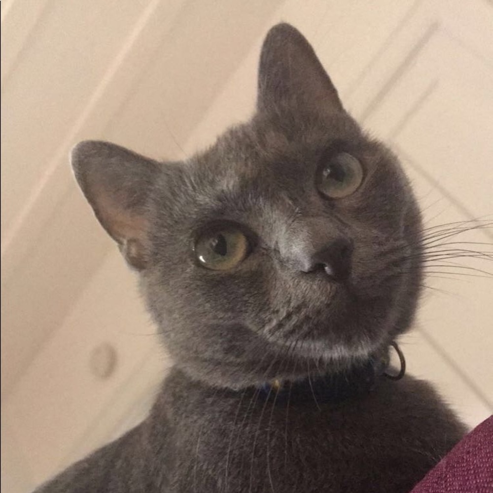 Meet your Posher, Anna